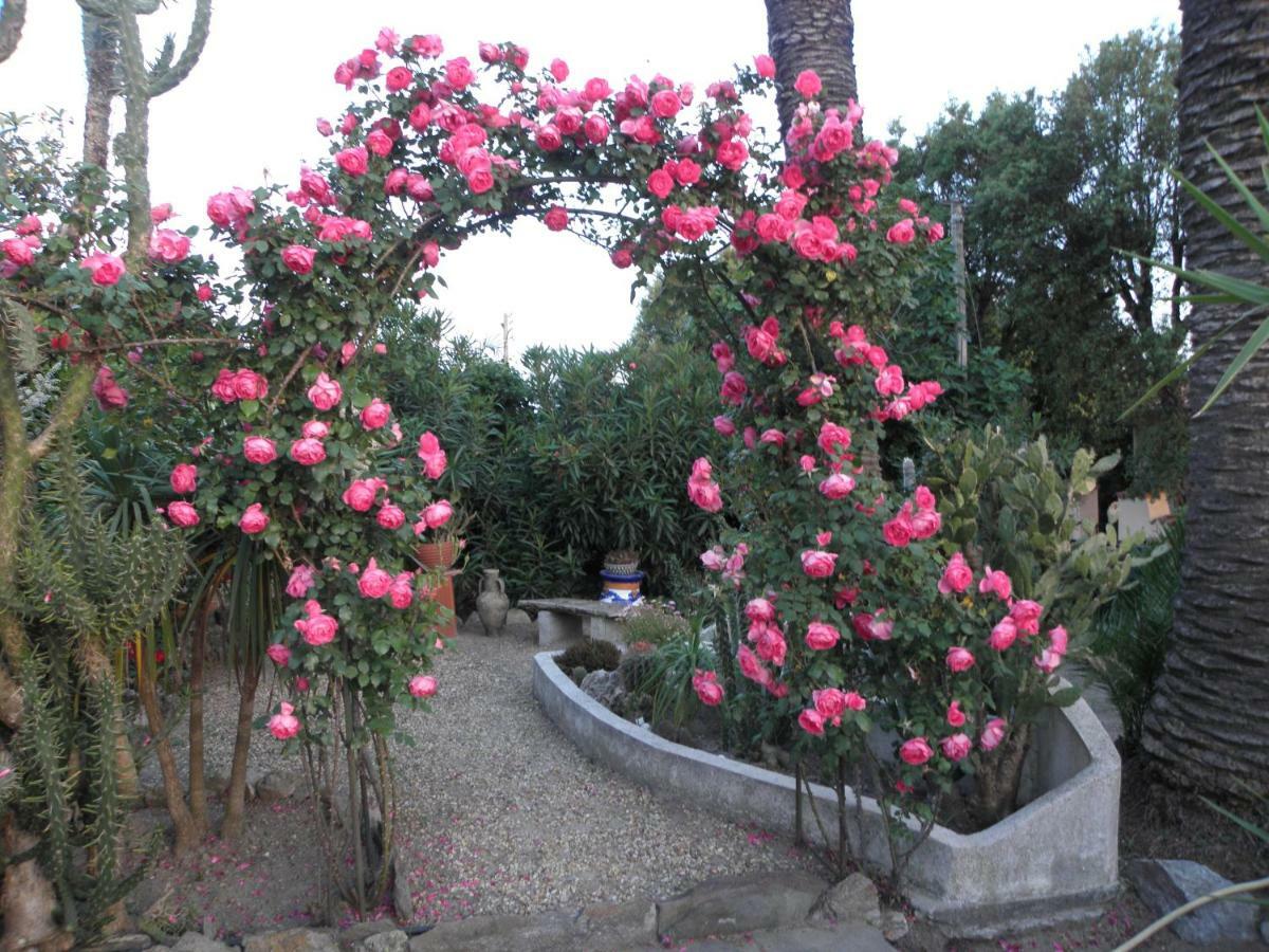 Villa Ingrid Gassin Bagian luar foto